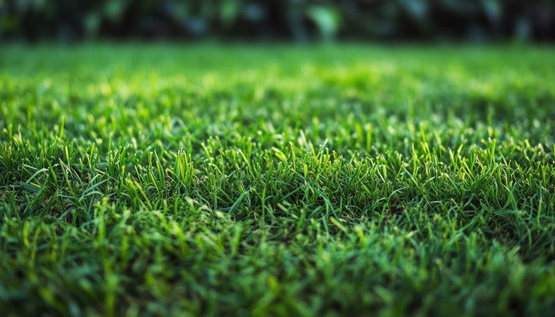 Lawn Sodding in Ventura County, CA