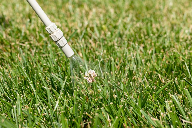 Lawn Weed Treatment in Rockwall, TX