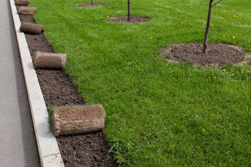 Sod Installation in Aiken, SC